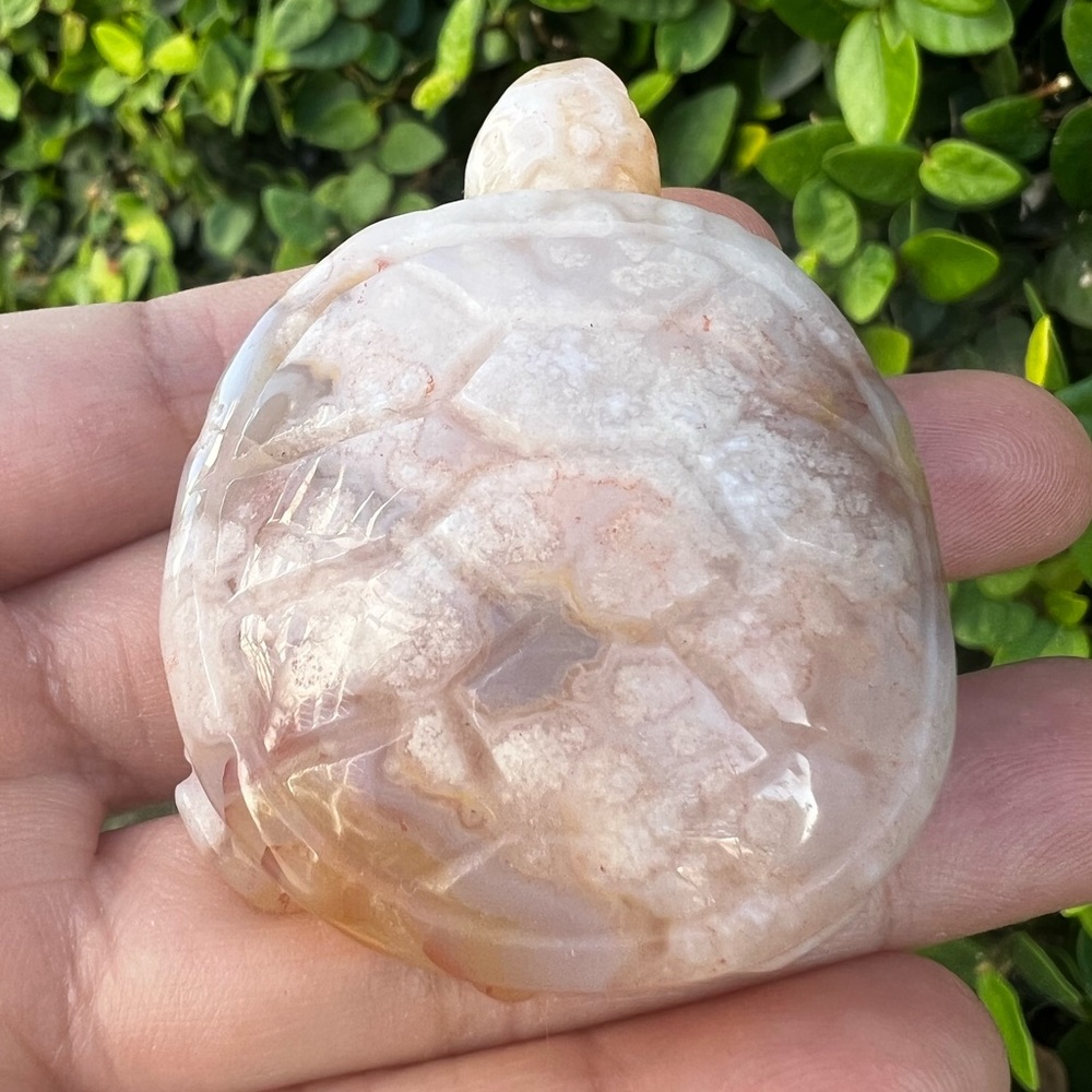 Creamy Orange Pink Flower Agate Turtle Carving - Picture 3 of 6